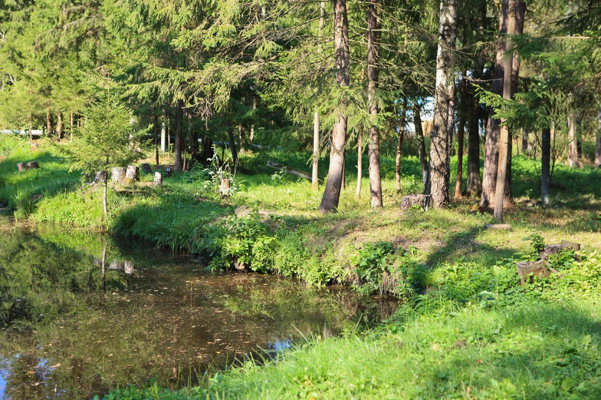 Отдых в наро фоминске. Нара Наро Фоминск. Пансионат Нара территория. Поляна Нара. База отдыха Нара Наро-Фоминск.